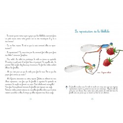 Le jardin de Juliette et Joséphine - La Libellule