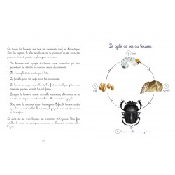 Le jardin de Juliette et Joséphine - Le Bousier
