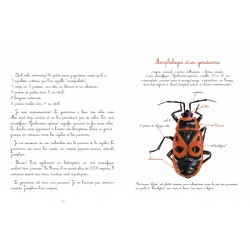 Le jardin de Juliette et Joséphine - Le Gendarme