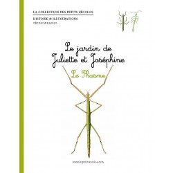 Le jardin de Juliette et Joséphine - Le Phasme