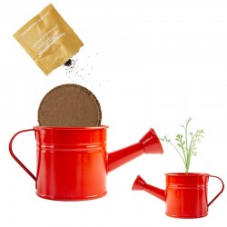 Mini arrosoir rouge avec graines de coquelicot