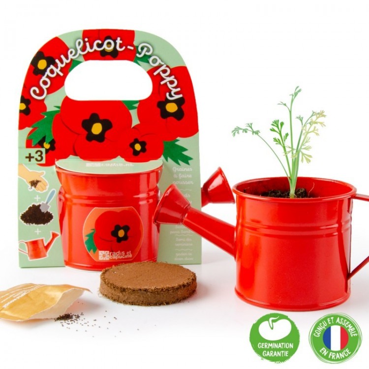 Mini arrosoir rouge avec graines de coquelicot Mini arrosoir rouge avec graines de coquelicot