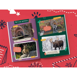 Carnet de voyage Les Mini Mondes - Canada (Ouest)