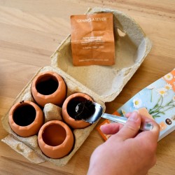 Kit semis - Les œufs du jardinier