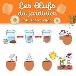 Kit semis - Les œufs du jardinier