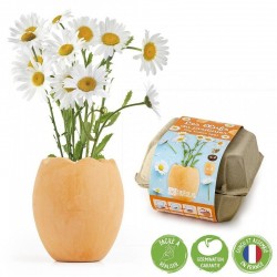 Kit semis - Les œufs du jardinier