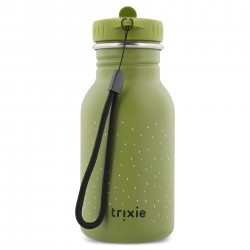Gourde Dino (350 ml)