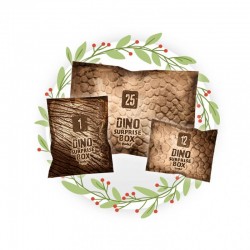 Dino Box : 25 surprises !