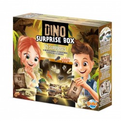 Dino Box : 25 surprises !