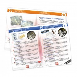 Microscope - Coffret 30 expériences