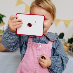 Le Giga Mondy, 600 cartes de nomenclature Montessori