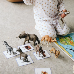 Le Giga Mondy, 600 cartes de nomenclature Montessori