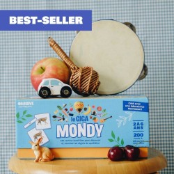 Le Giga Mondy, 600 cartes de nomenclature Montessori