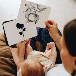 Le Mondy des P'tits artistes - cartes à contrastes