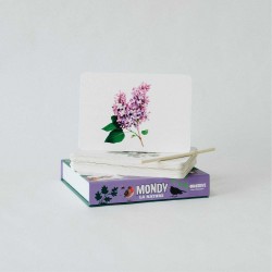 Le Mondy des Curieux - Cartes Montessori
