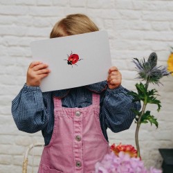 Le Mondy des Curieux - Cartes Montessori