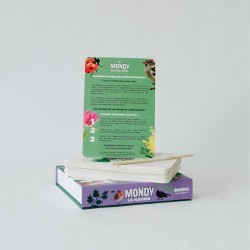 Le Mondy des Curieux - Cartes Montessori