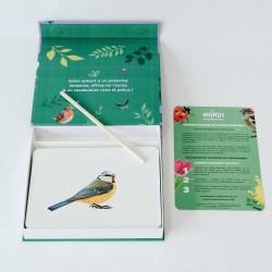 Le Mondy des Curieux - Cartes Montessori