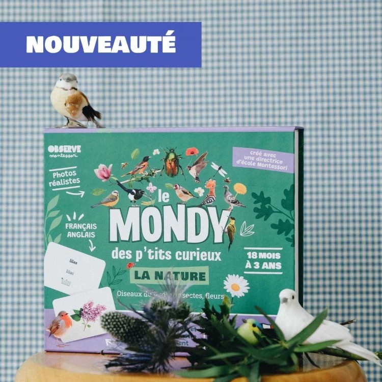 Le Mondy des Curieux - Cartes Montessori