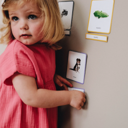 Le Mini-Mondy Maison - Cartes Montessori
