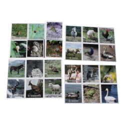 Loto Nature - Les animaux
