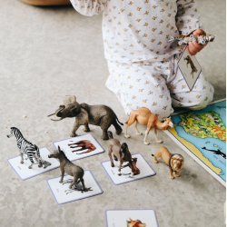 Le Mini-Mondy Animaux - Cartes de nomenclature Montessori
