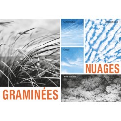 Mes Saisons, de Bernadette Gervais