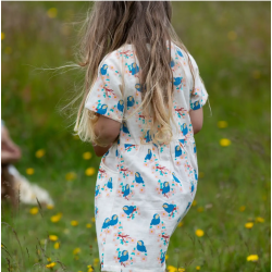 Robe boutonnée à manches courtes - Bluebirds