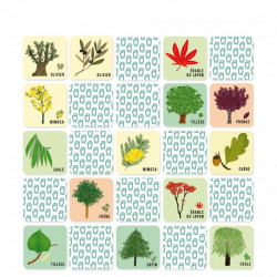 Mes Mémos Rigolos - L'arbre et sa feuille