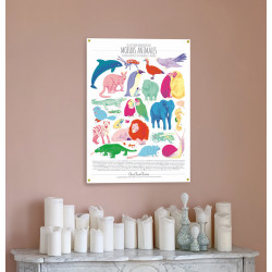 Affiche QuiQueQuoi "Mœurs Animales" - 50x70 cm