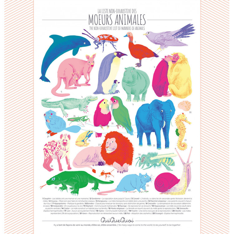 Affiche QuiQueQuoi "Mœurs Animales" - 50x70 cm