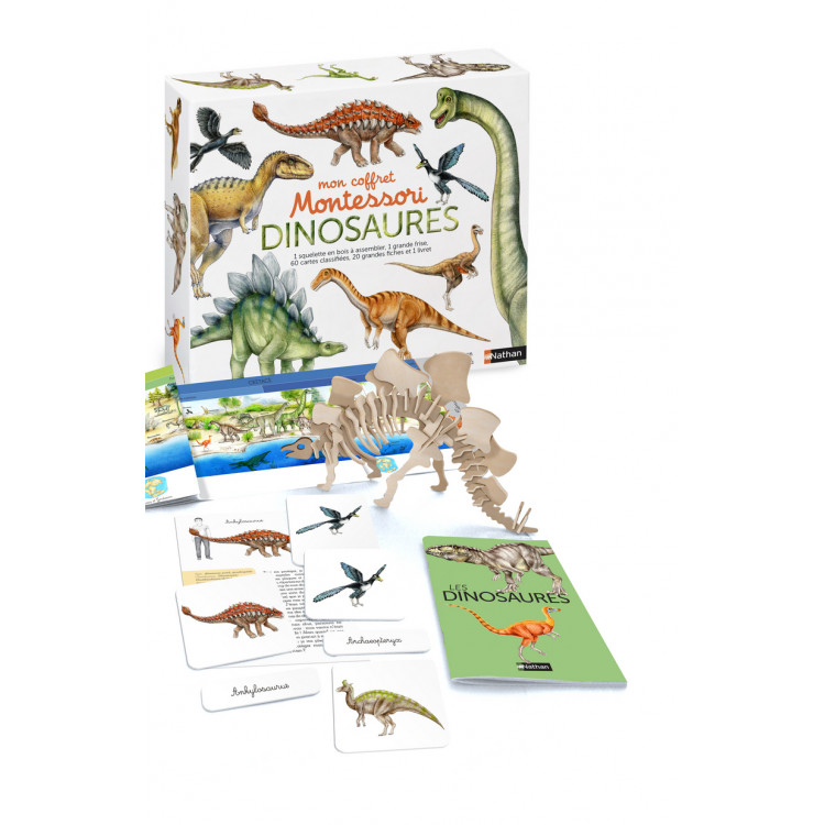 Coffret Montessori - Dinosaures