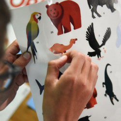 Poster géant + 67 stickers - Animaux du monde