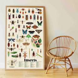 Poster géant + 44 stickers - Insectes