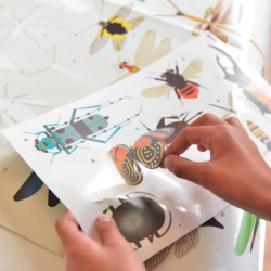 Poster géant + 44 stickers - Insectes