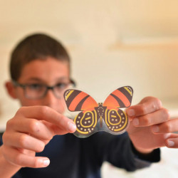 Poster géant + 44 stickers - Insectes