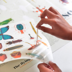 Poster géant + 44 stickers - Insectes