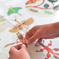 Poster géant + 44 stickers - Insectes