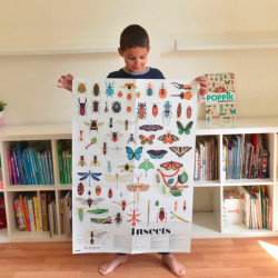 Poster géant + 44 stickers - Insectes