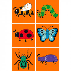 Puzzle 4 cubes - Insectes