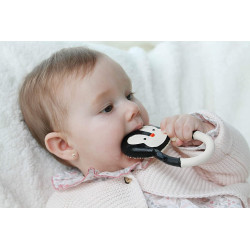 Anneau de dentition pingouin