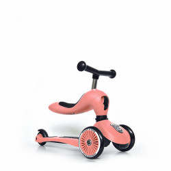Trottinette 2 en 1 Highwaykick 1