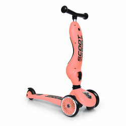 Trottinette 2 en 1 Highwaykick 1