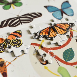 Puzzle éducatif 500 pièces - Les insectes