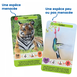 Défis Nature Junior -Mystères de la jung