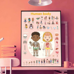 Poster éducatif 49 stickers -Corps humain