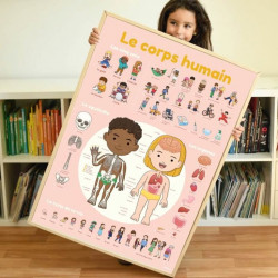 Poster éducatif 49 stickers -Corps humain