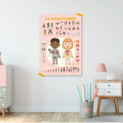 Poster éducatif 49 stickers -Corps humain
