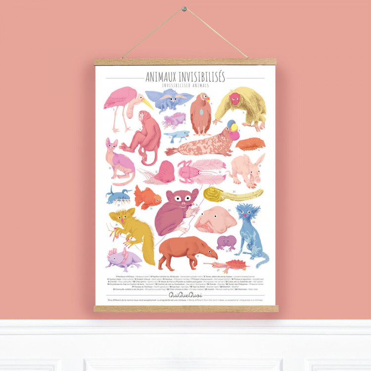 Affiche QuiQueQuoi "Animaux Invisibilisés" - 50x70 cm Affiche QuiQueQuoi "Animaux Invisibilisés" - 50x70 cm
