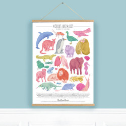 Affiche QuiQueQuoi "Mœurs Animales" - 50x70 cm